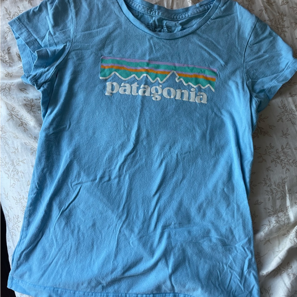 Patagonia tee